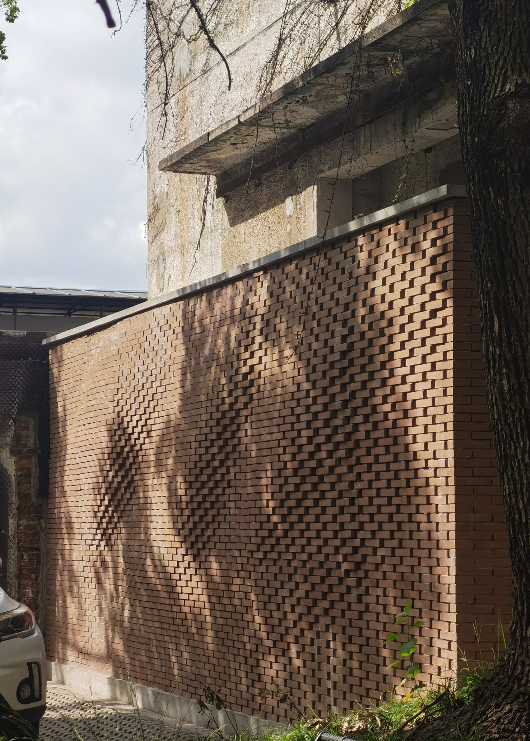 Office 81 facade renovation proposal