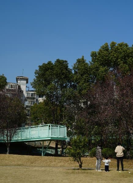 Park pavilion and planting after renovation