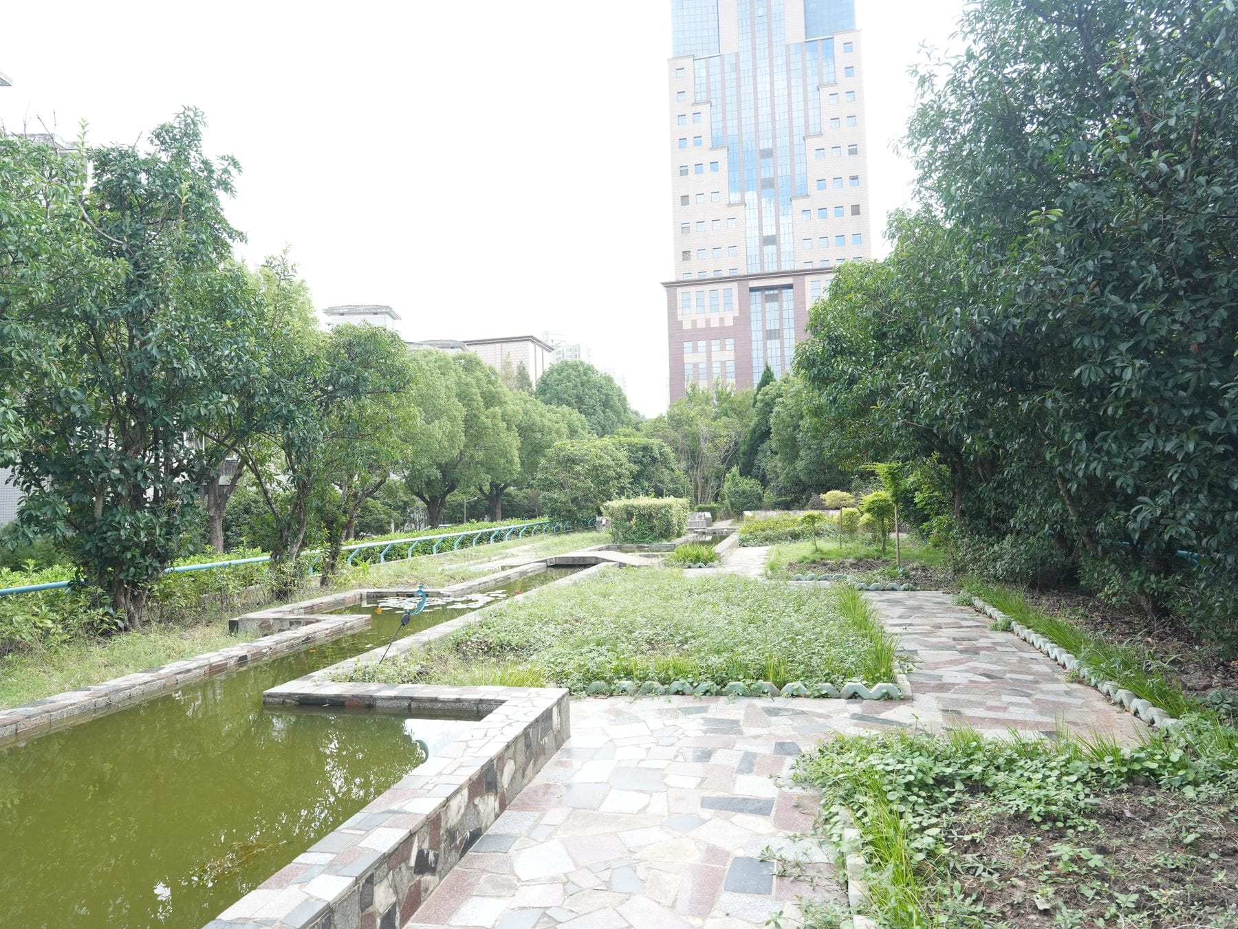 The existing canal before intervention