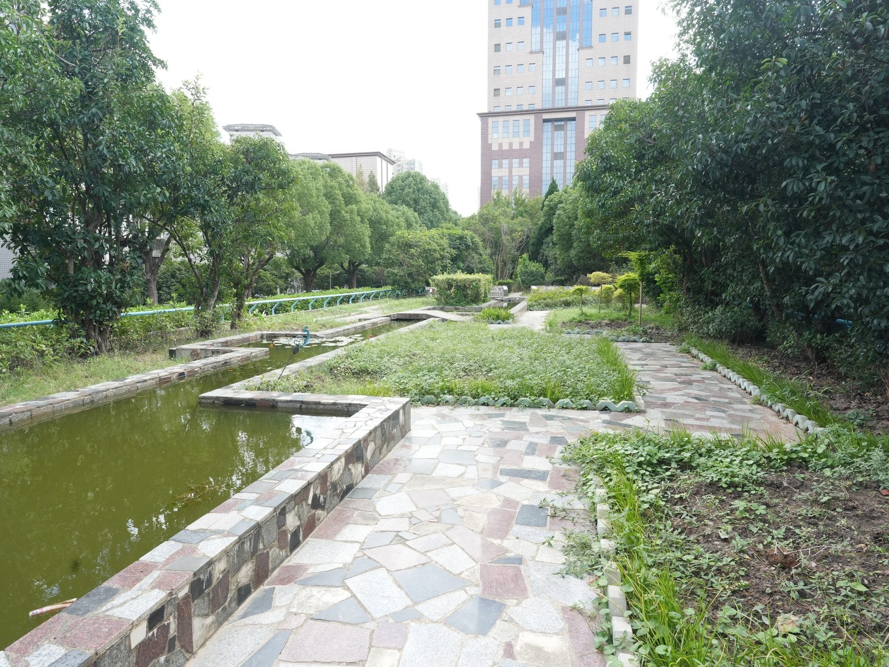 Stone paving of the curved paths