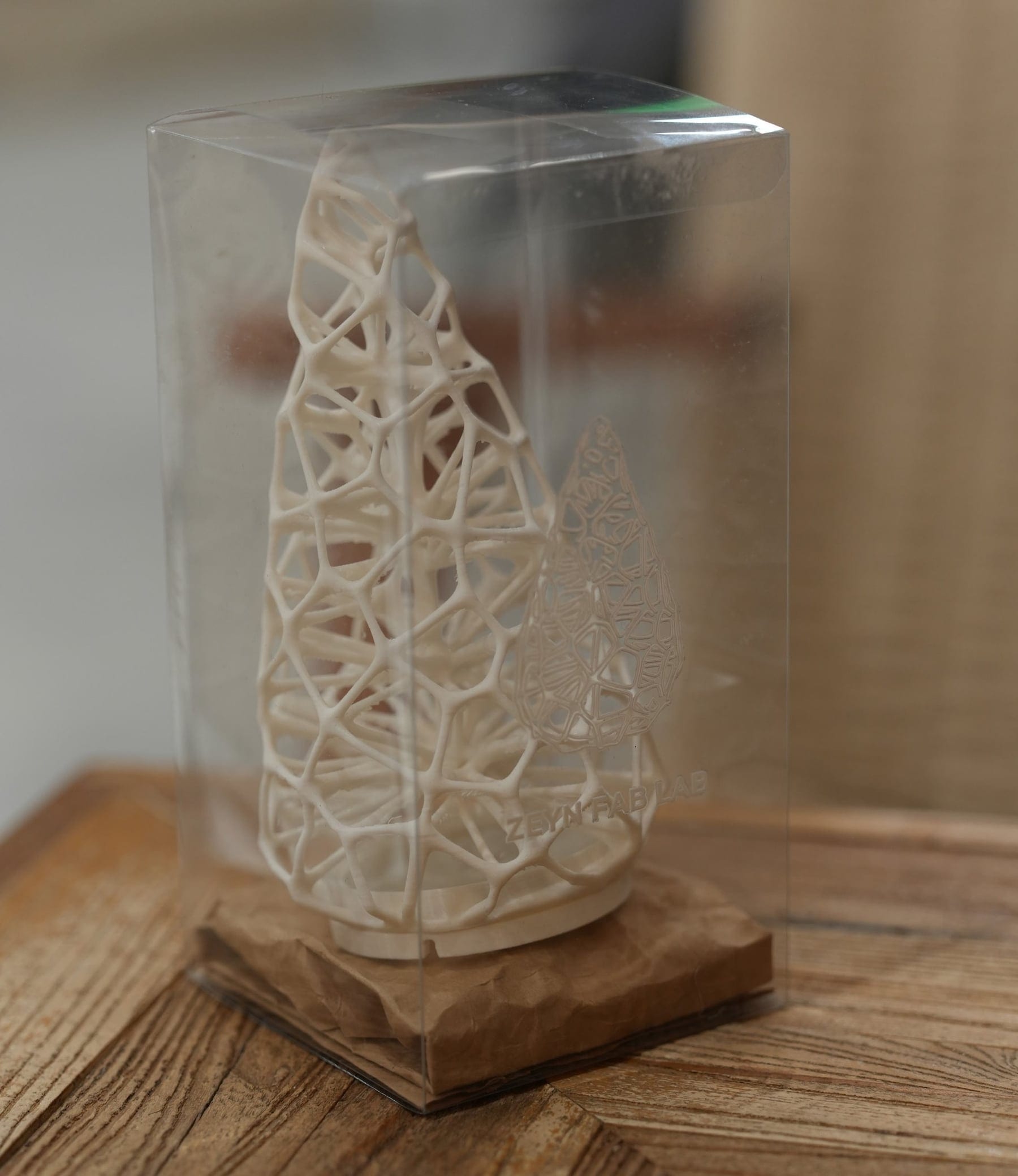 Winter Hollow table lamp in its frosted display case