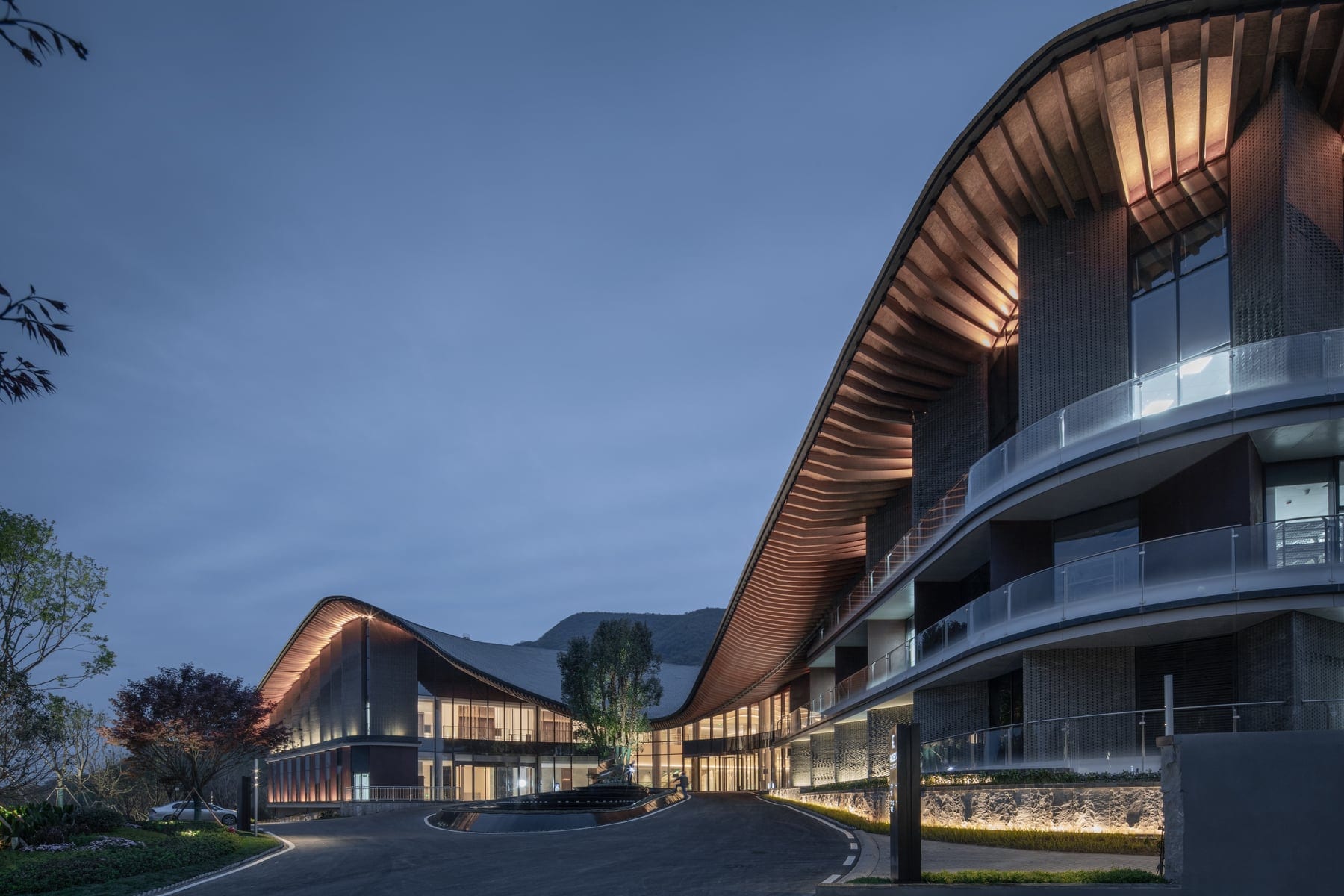 Curved timber roofscape at dusk