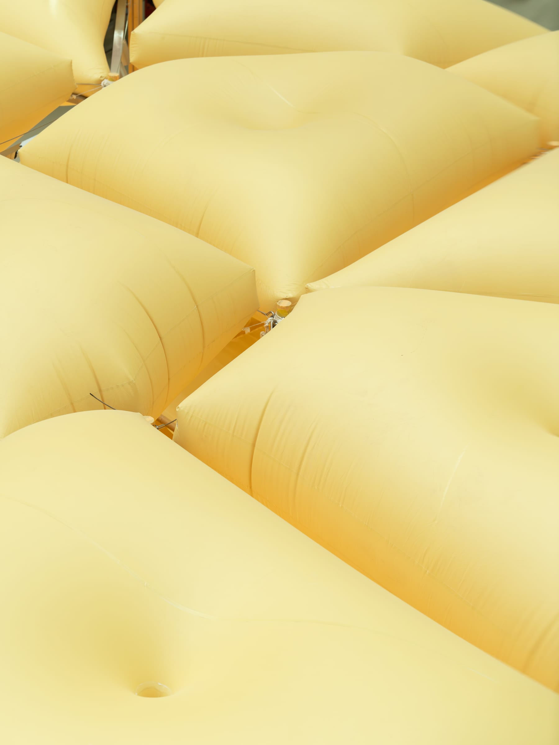 The pillow canopy field in daylight, nodes gathering the inflatable pillows