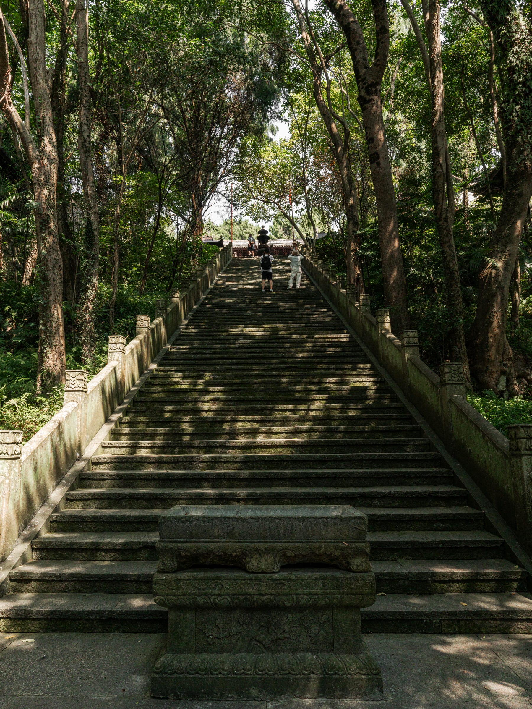 Mossy stone steps climbing through the forest toward the mountain temple