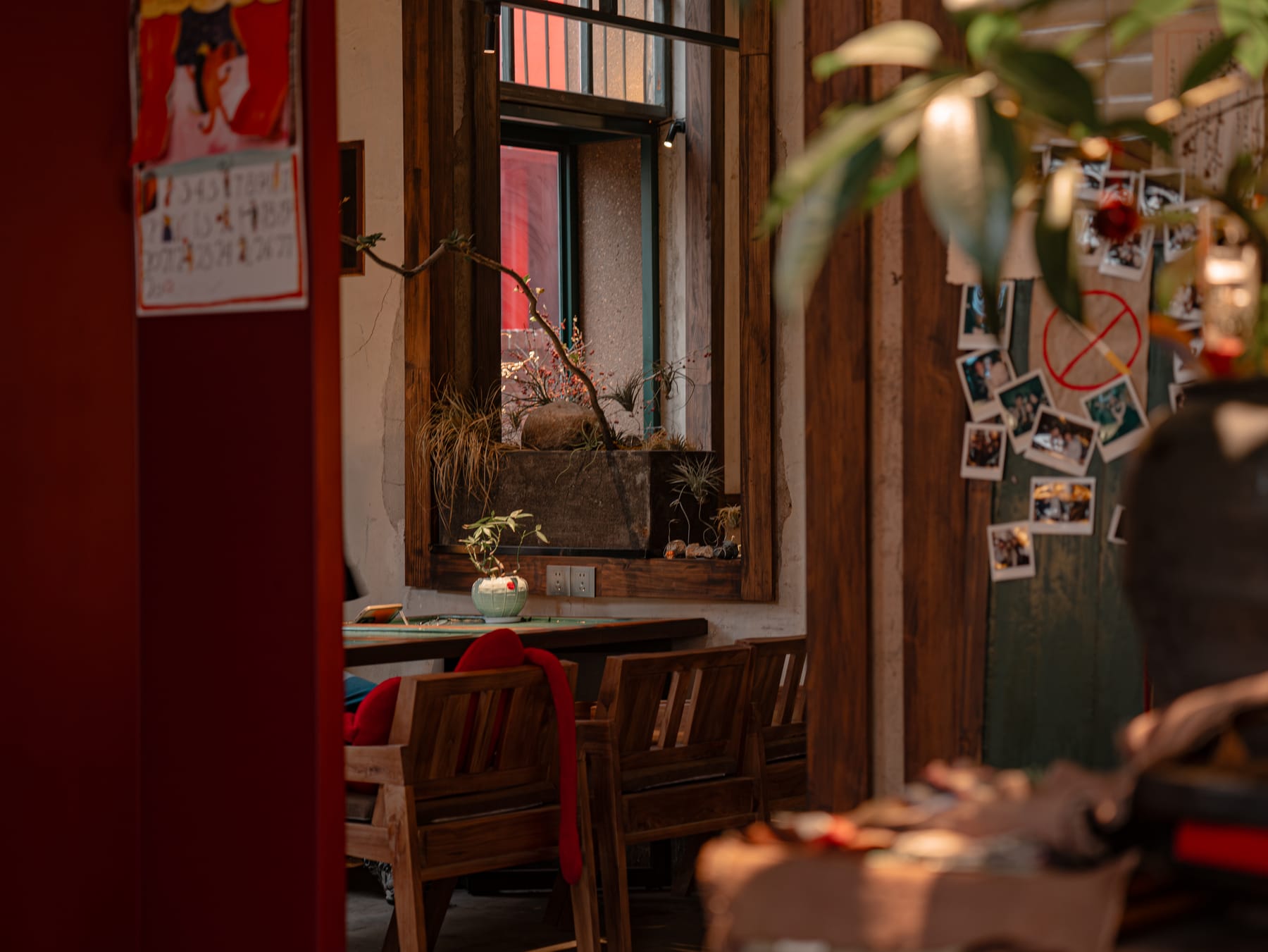 Window seats and greenery against the red wall
