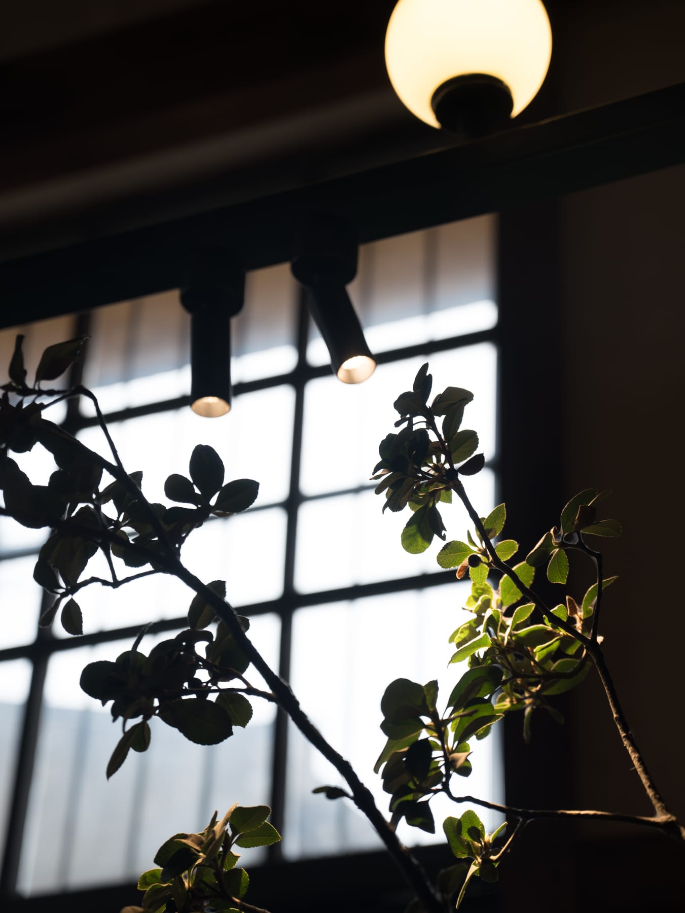 Pendant globe lamp against the window grid